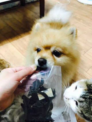 쿠키쿠님이 올린 리뷰 사진 3