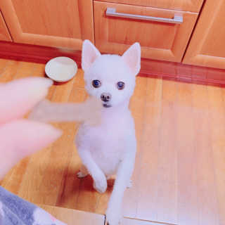 구혜리님이 올린 리뷰 사진 1