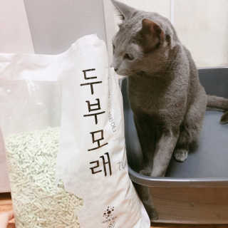 꽃길만걷자탄아님이 올린 리뷰 사진 2