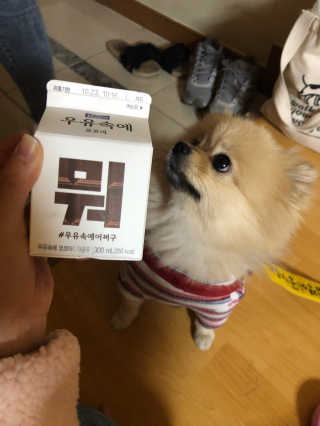 [매일유업] 우유속에 어쩌구_3개 세트 모바일 쿠폰 — 5점을 준 리뷰어가 2019년 10월 올린 사용 사진