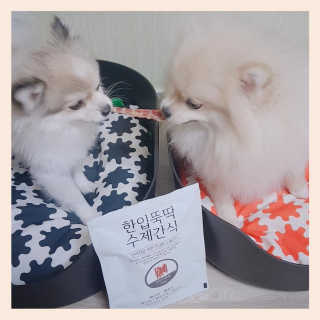 햇살나래님이 올린 리뷰 사진 1