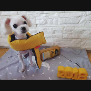 쑤우혀닝님이 올린 리뷰 사진 2