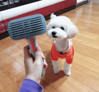 민동2님이 올린 리뷰 사진 1