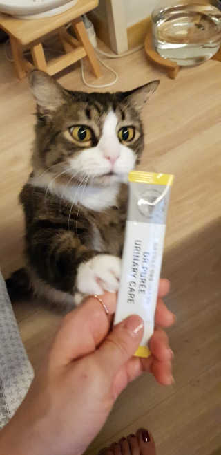니나노나님이 올린 리뷰 사진 2