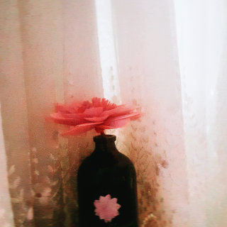 다혜둥둥님이 올린 리뷰 사진 1