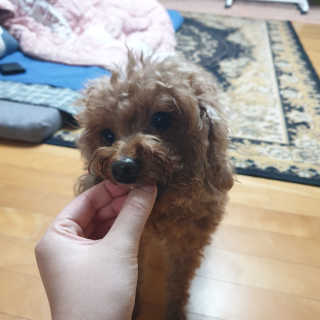 유나님이 올린 리뷰 사진 2