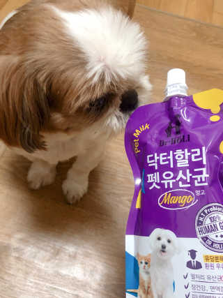 닥터할리펫밀크 8종 — 5점을 준 리뷰어가 2018년 11월 올린 사용 사진