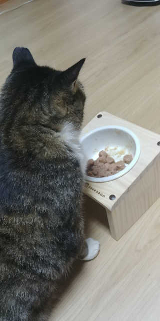 [펫토리아]배피 고양이,빌리강아지 대용량주식캔 — 5점을 준 리뷰어가 2019년 7월 올린 사용 사진
