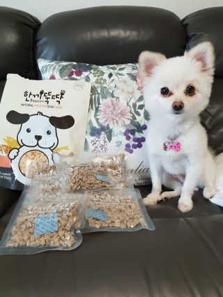 [펫토리아] 맛도 영양도 BEST 한끼뚝딱 강아지 사료 — 5점을 준 리뷰어가 2018년 12월 올린 사용 사진