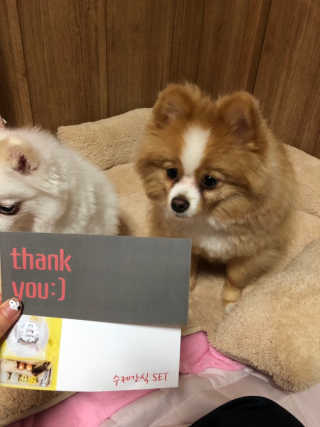 영블리님이 올린 리뷰 사진 2