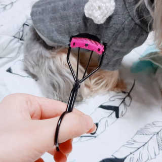 아이링님이 올린 리뷰 사진 1