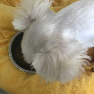 토리님이 올린 리뷰 사진 3
