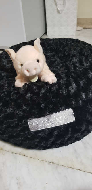 Soo님이 올린 리뷰 사진 1