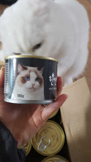 논지님이 올린 리뷰 사진 2