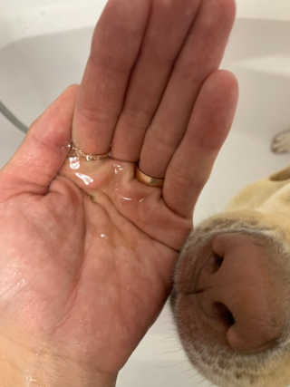 이지닝님이 올린 리뷰 사진 3