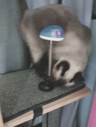 이하연님이 올린 리뷰 사진 3