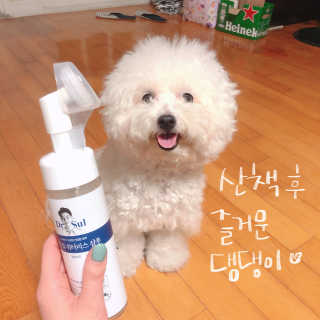 꽁냥꽁냥님이 올린 리뷰 사진 3