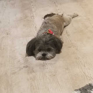 Eleganteighteen님이 올린 리뷰 사진 3