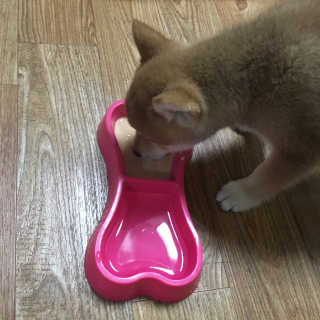 yul님이 올린 리뷰 사진 1