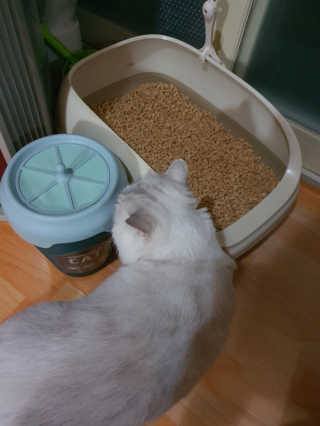 o7902o님이 올린 리뷰 사진 4