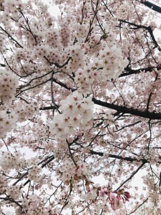 (주)쟈뎅 [쟈뎅] 에스프레소스틱 아이스블렌드 — 4.5점을 준 리뷰어가 2019년 5월 올린 사용 사진
