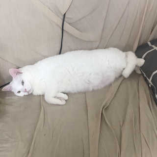 김노롸님이 올린 리뷰 사진 1