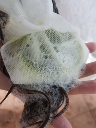 엘리유하님이 올린 리뷰 사진 4