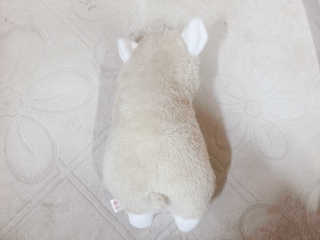 강지롱님이 올린 리뷰 사진 2