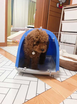 향이꾸님이 올린 리뷰 사진 2