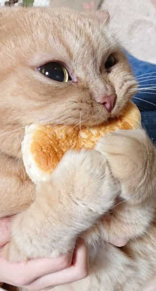 단비님이 올린 리뷰 사진 3