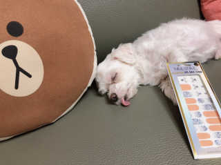 ejejejluv님이 올린 리뷰 사진 2
