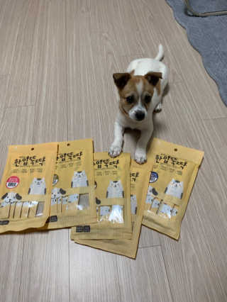 [펫토리아]짜먹는 한입뚝딱 강아지.고양이 마약간식 — 5점을 준 리뷰어가 2019년 7월 올린 사용 사진