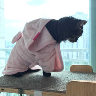 손인수님이 올린 리뷰 사진 1