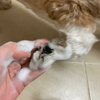persona님이 올린 리뷰 사진 4