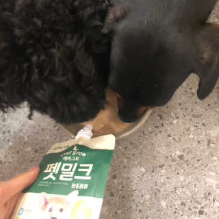 [빙그레] 에버그로 생유산균 1봉（10포입）+펫밀크2팩 — 4점을 준 리뷰어가 2019년 3월 올린 사용 사진