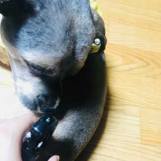 l0l2님이 올린 리뷰 사진 2