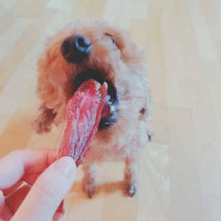 유나님이 올린 리뷰 사진 1
