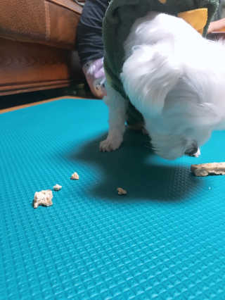 채꽃신님이 올린 리뷰 사진 3