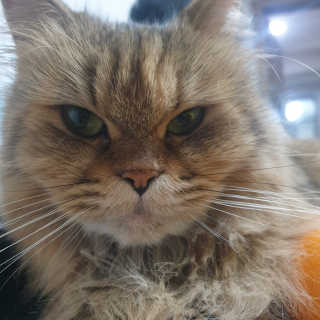 김한솔님이 올린 리뷰 사진 3
