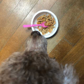 BakVeronica님이 올린 리뷰 사진 2