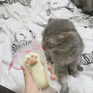 표하람님이 올린 리뷰 사진 1