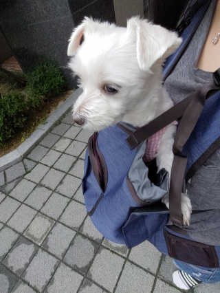 Songx님이 올린 리뷰 사진 3