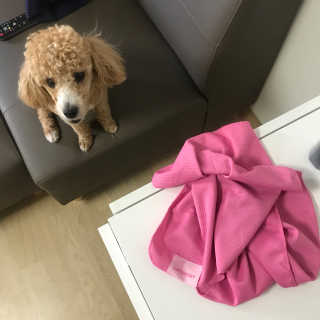 미꾸라지님이 올린 리뷰 사진 2