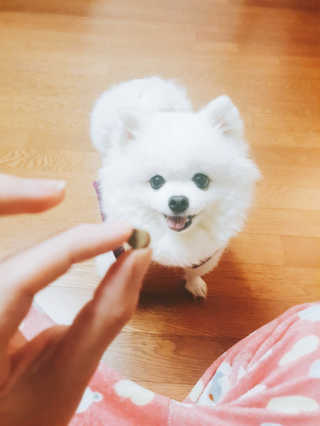 퀸민님이 올린 리뷰 사진 1