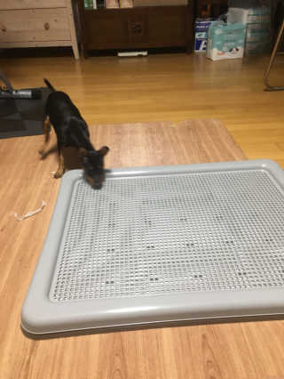 김호띠님이 올린 리뷰 사진 2