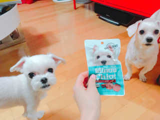 쮸동비님이 올린 리뷰 사진 4