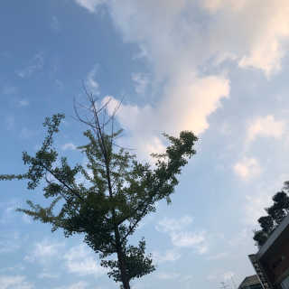 헤이미스터브라운 [매일유업] 헤이 미스터브라운 12개입 — 5점을 준 리뷰어가 2019년 8월 올린 사용 사진
