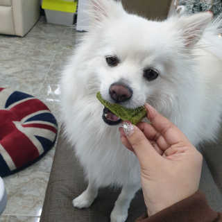 복디누나님이 올린 리뷰 사진 3
