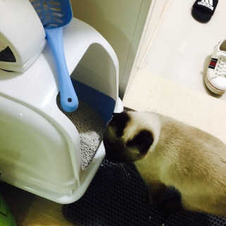 호오옹님이 올린 리뷰 사진 2