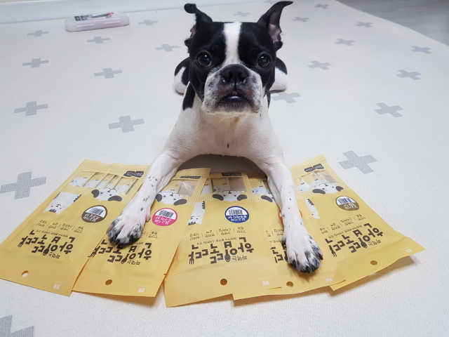 [펫토리아]짜먹는 한입뚝딱 강아지.고양이 마약간식 리뷰 사진